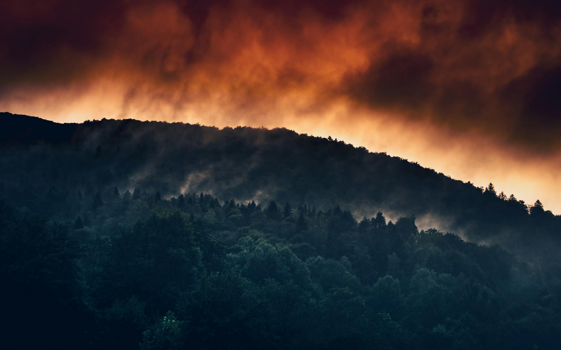 Sassari, dal 9 maggio campagna antincendi nelle aree a rischio