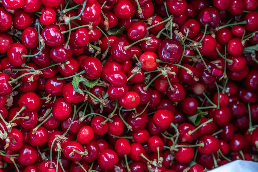 Sassari, il vecchio mercato civico diventerà un polo del gusto