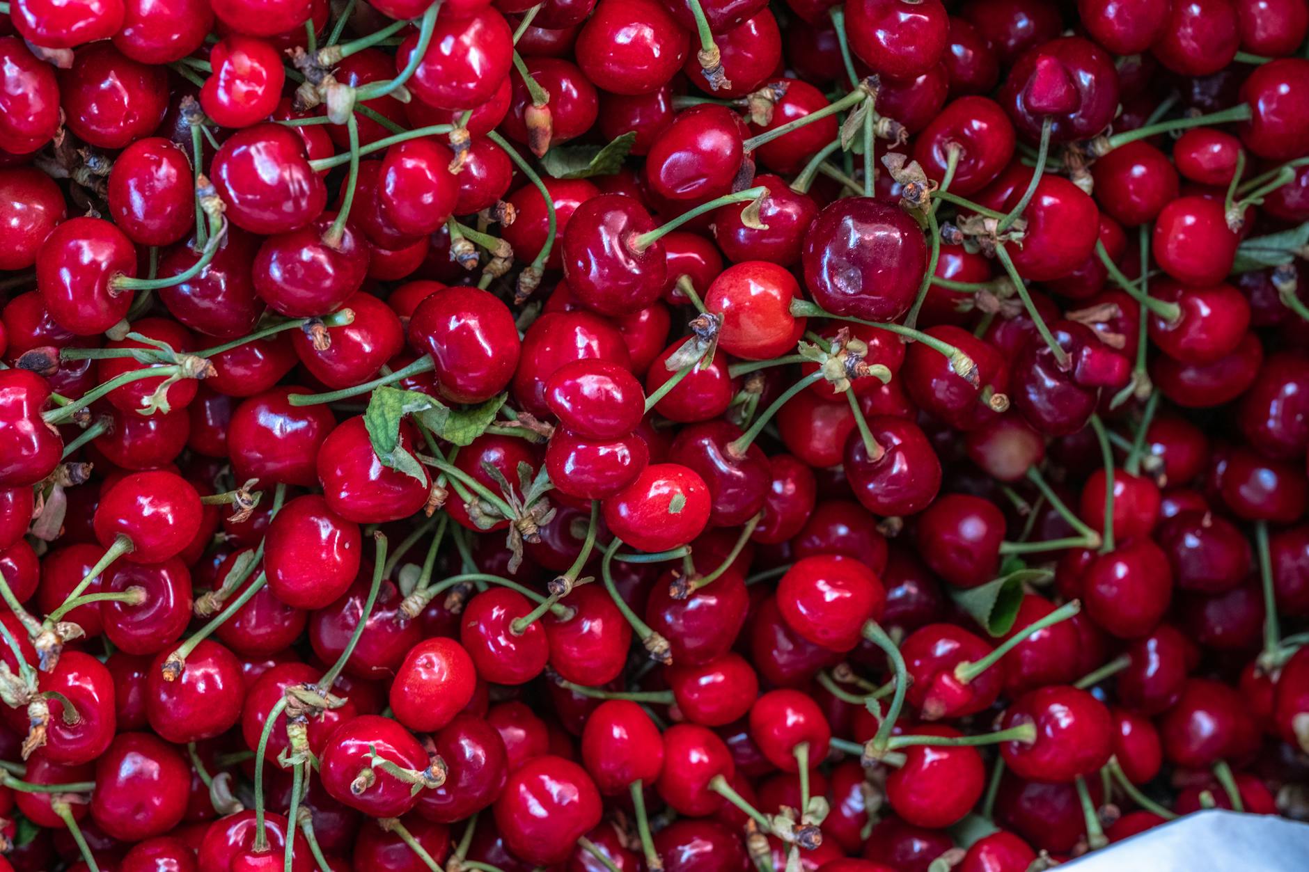 Sassari, il vecchio mercato civico diventerà un polo del gusto