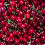 Sassari, il vecchio mercato civico diventerà un polo del gusto