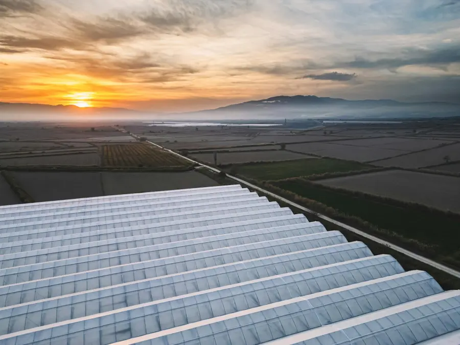 Agroalimentare in Sardegna, 40 milioni per le imprese