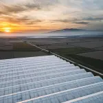 Agroalimentare in Sardegna, 40 milioni per le imprese