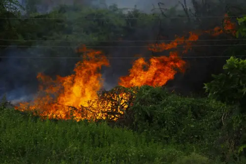 Incendi, a Nuoro studenti e istituzioni al Brau con Coldiretti