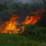 Incendi, a Nuoro studenti e istituzioni al Brau con Coldiretti