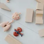 Sassari, la Asl porta la prevenzione nelle scuole per la Giornata Mondiale del Rene