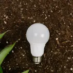 Sassari accelera sull’innovazione sostenibile: un hub bio-based prende forma